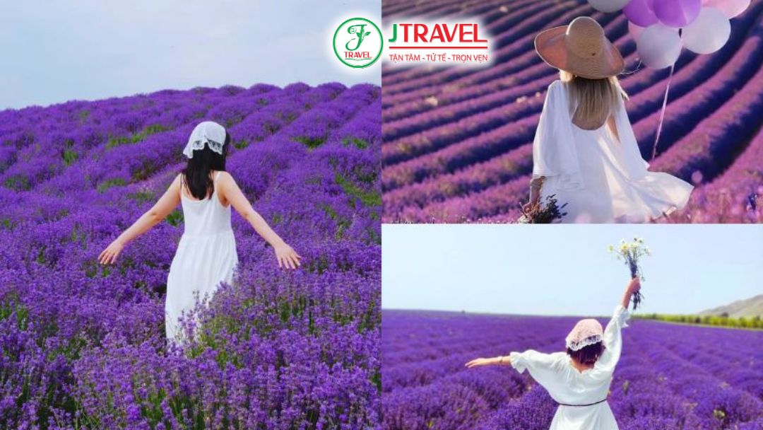 Gợi ý trang phục khi đi cánh đồng hoa Lavender
