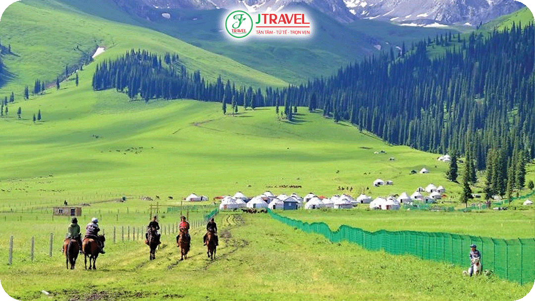 Mùa hoa mơ là một trong những mùa đẹp nhất trong năm