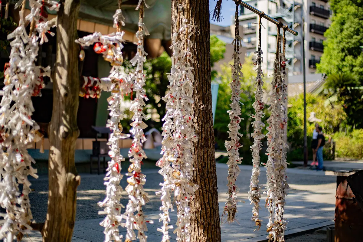 Quẻ omikuji được buộc lên giá ở đền Yasaka Namba