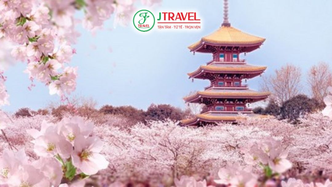 Kinh nghiệm đi Manhua Trang Viên thực tế