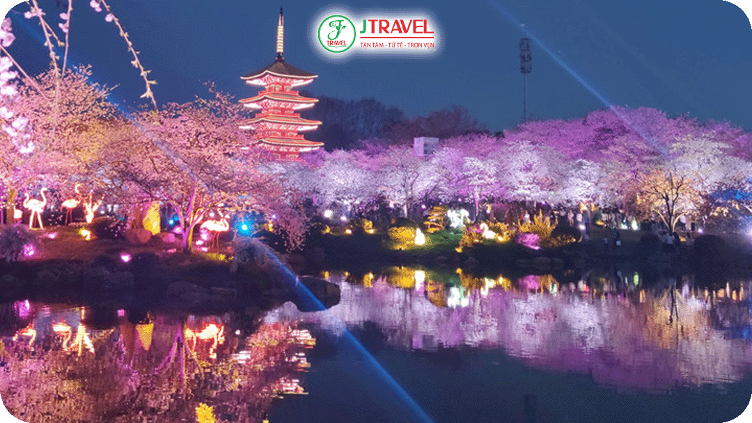 Đông Hồ lại sôi động và rực rỡ hơn, đặc biệt vào lễ hội hoa anh đào ban đêm