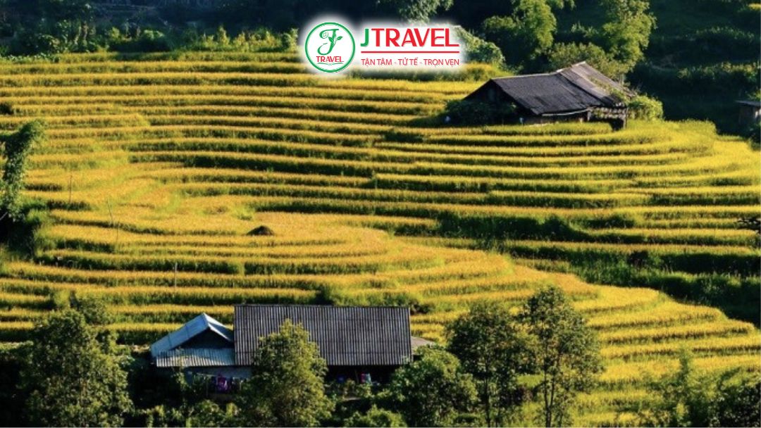 Bản Sín Chải Sapa với ruộng bậc thang và núi rừng Tây Bắc