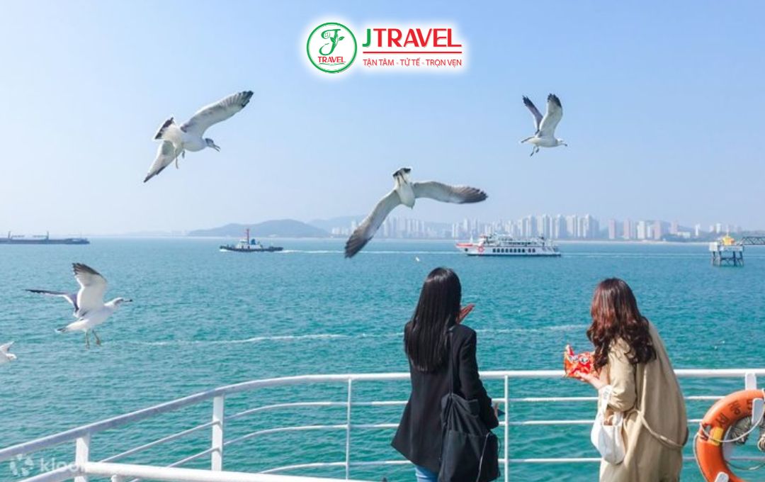 Đi phà, ngắm hải âu ở Incheon