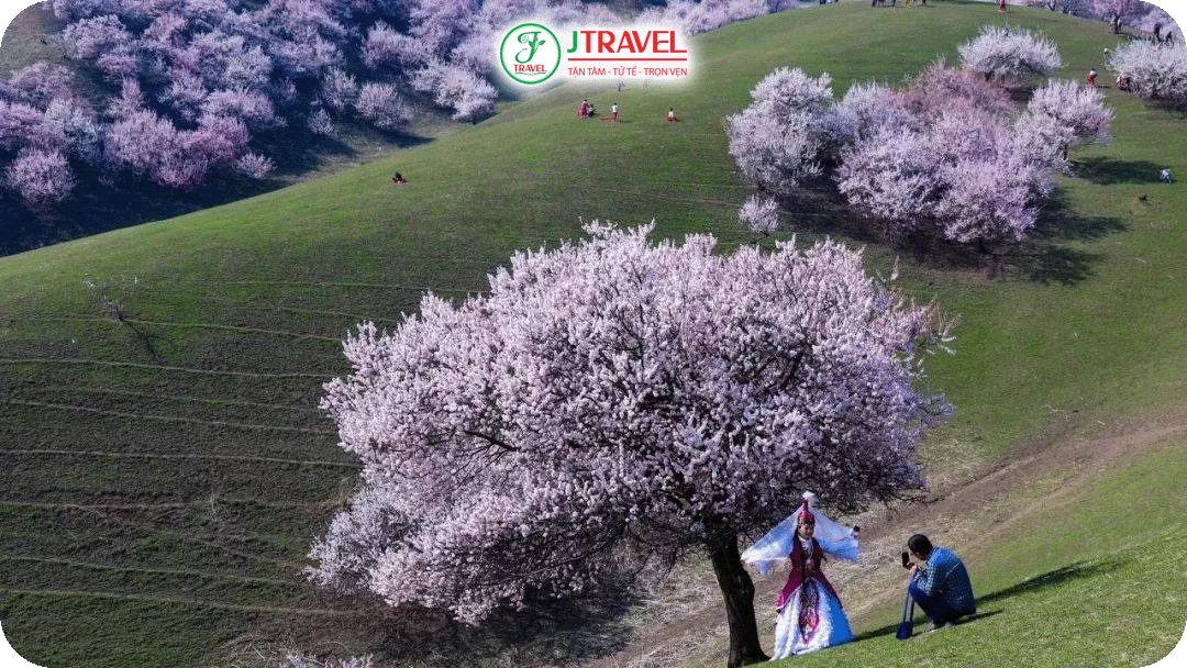 Một vài lưu ý nhỏ khi du lịch Tân Cương đầu năm