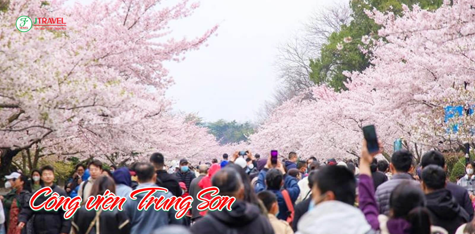 Công viên Trung Sơn - Thanh Đảo