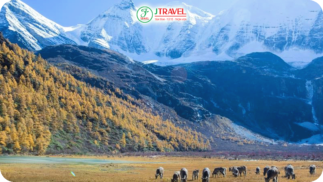 Mùa thu (tháng 10 - tháng 12) là thời điểm thích hợp du lịch Trung Quốc