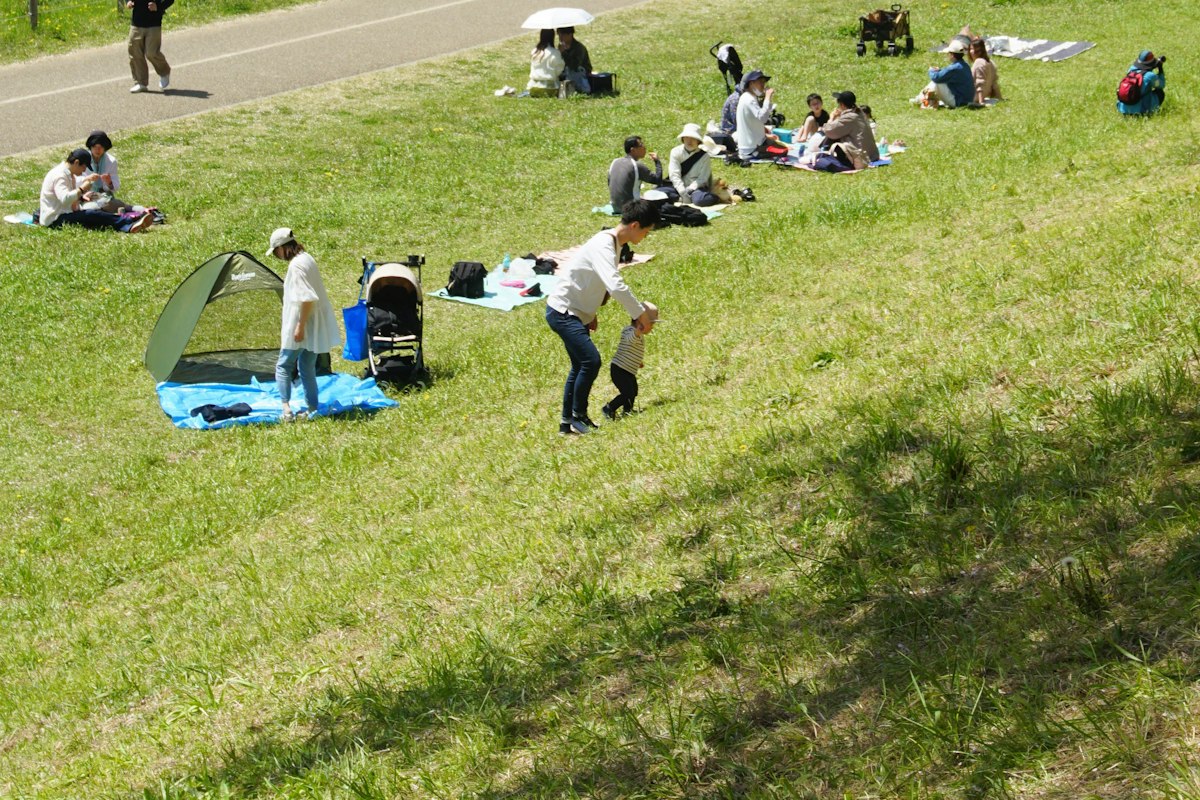 Bãi cỏ xanh trong công viên giữa Tokyo