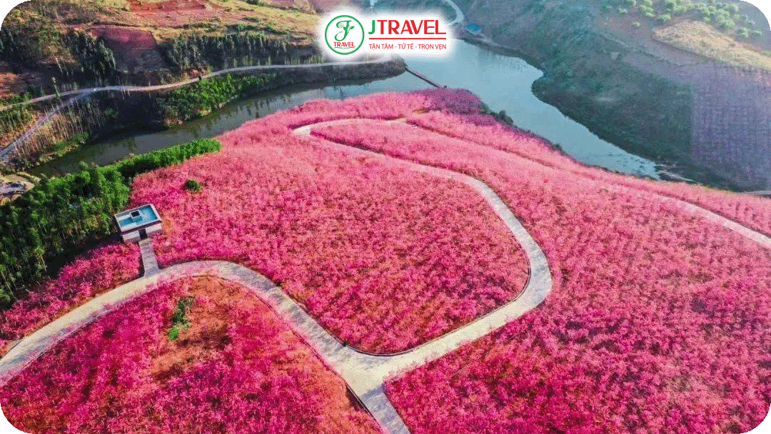 Tháng 3 – đầu tháng 4 được xem là thời điểm vàng của mùa hoa anh đào Trung Quốc