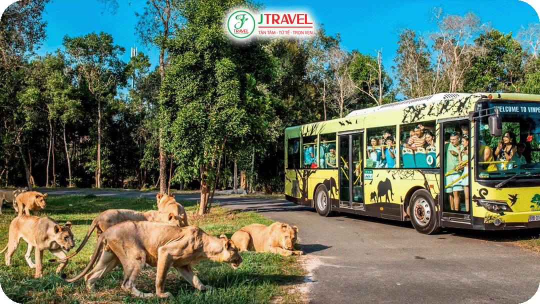 Vinpearl Safari – Công viên động vật bán hoang dã