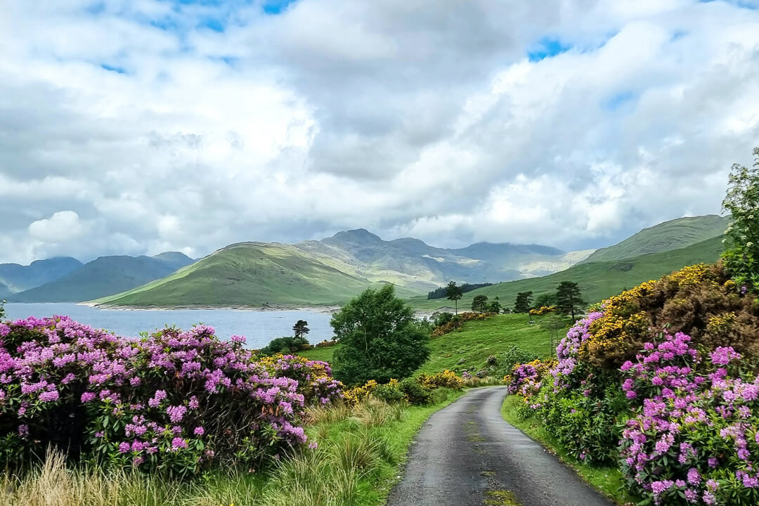 Mùa xuân Scotland (tháng 3 – tháng 5) (ảnh internet)