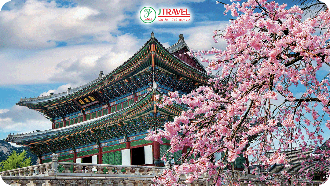 Mùa xuân ở Hàn Quốc không khí dễ chịu và khắp nơi rực rỡ sắc hoa