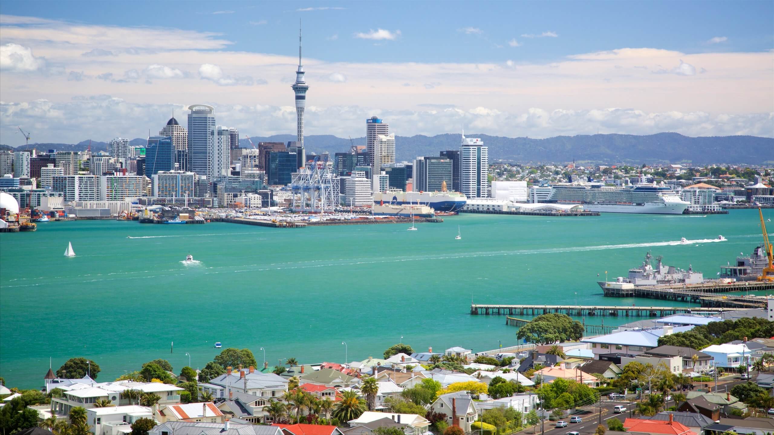 Auckland – Thành phố của những cánh buồm (ảnh internet)