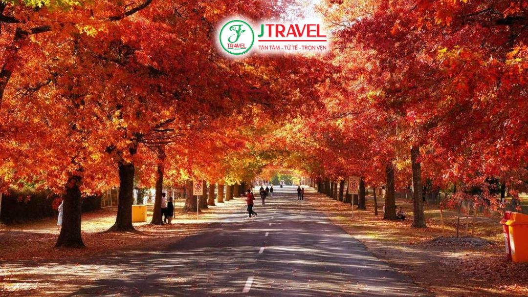 Mùa Thu nước Úc 