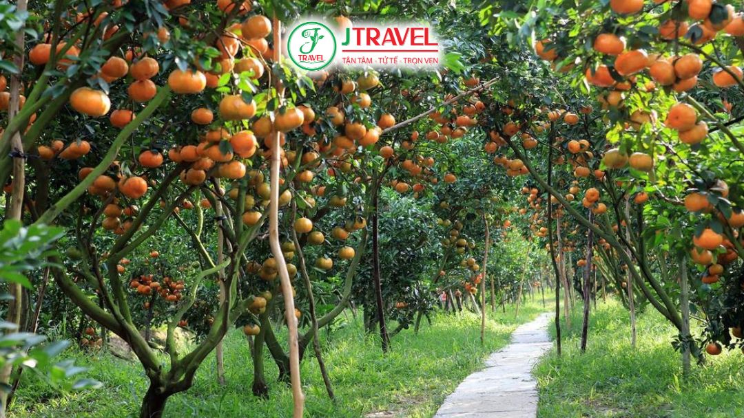 Du Lịch Miền Tây Có Thể Đi Quanh Năm Không