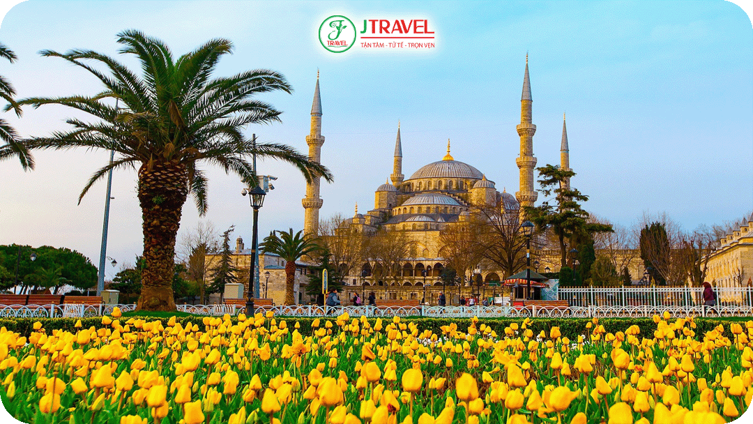 Hoa Tulit nở rộ Istanbul vào mùa xuân tạo nên màu sắc tuyệt đẹp