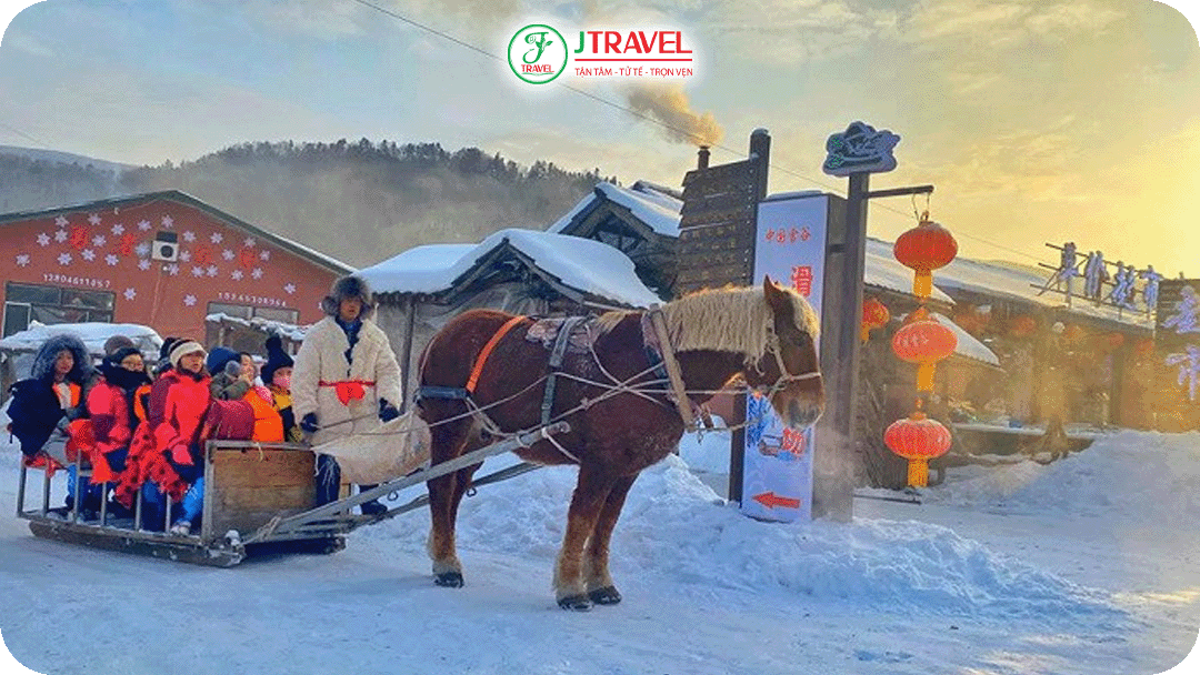 Trải nghiệm xe ngựa kéo truyền thống tại Cáp Nhĩ Tân