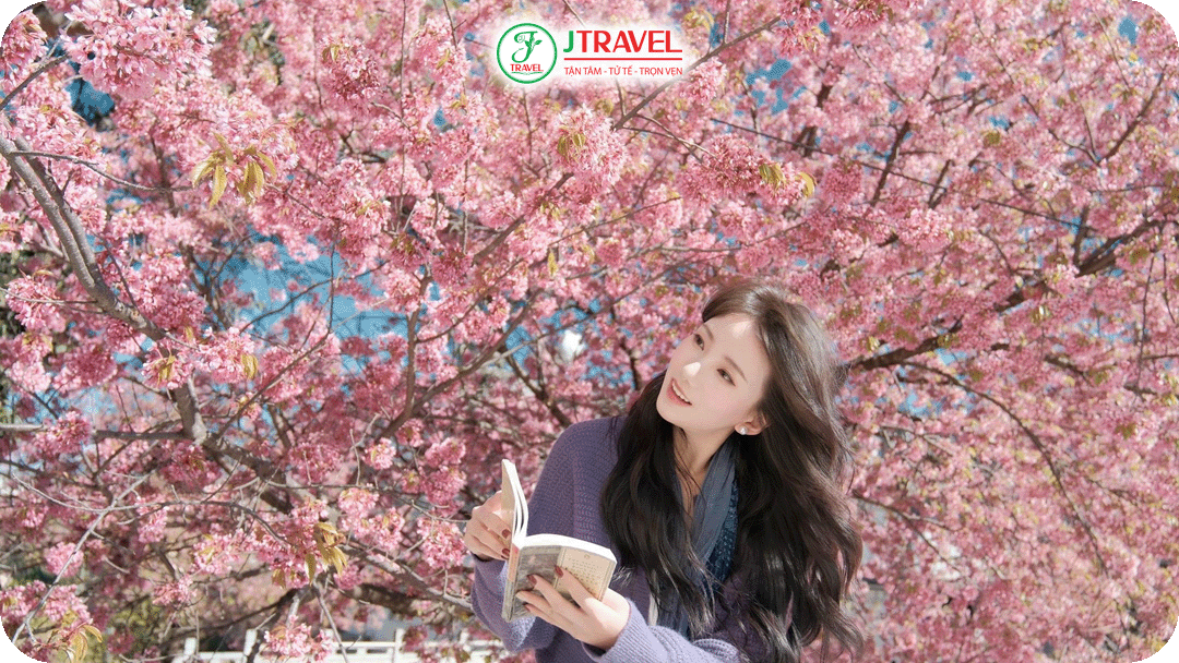 Bạn nên mang áo len nhẹ khi du lịch Trung Quốc mùa hoa anh đào