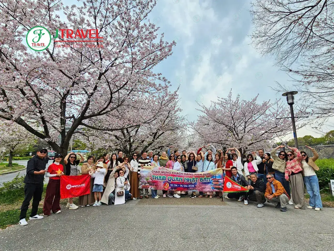 J Travel liên tục cập nhật nhiều tuyến tour hoa anh đào Nhật Bản mới hấp dẫn 2026