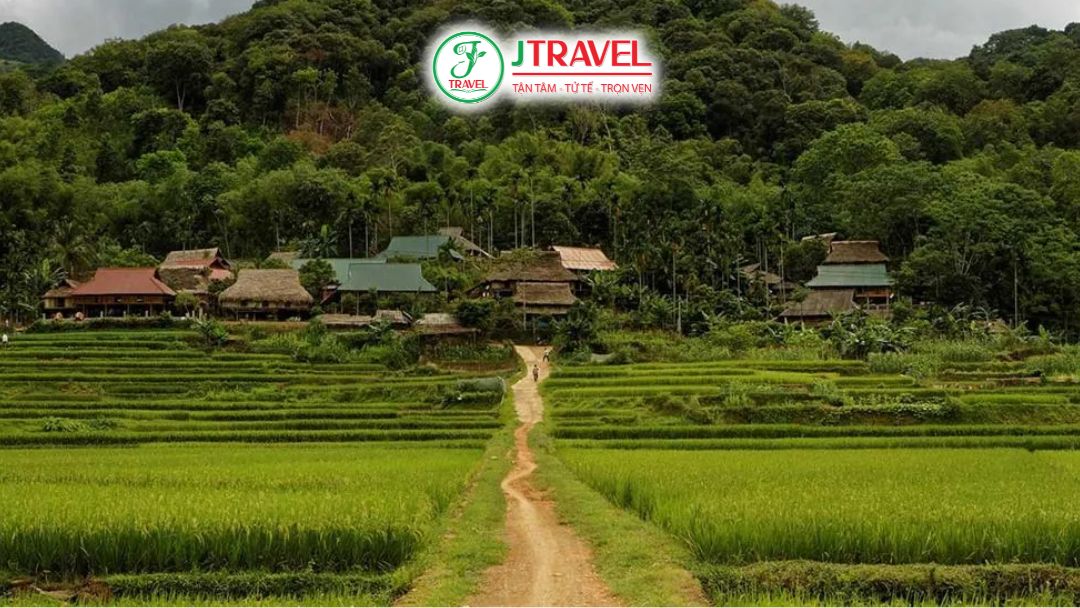 Bản Pom Coọng Mai Châu với nhà sàn và cánh đồng lúa xanh mướt