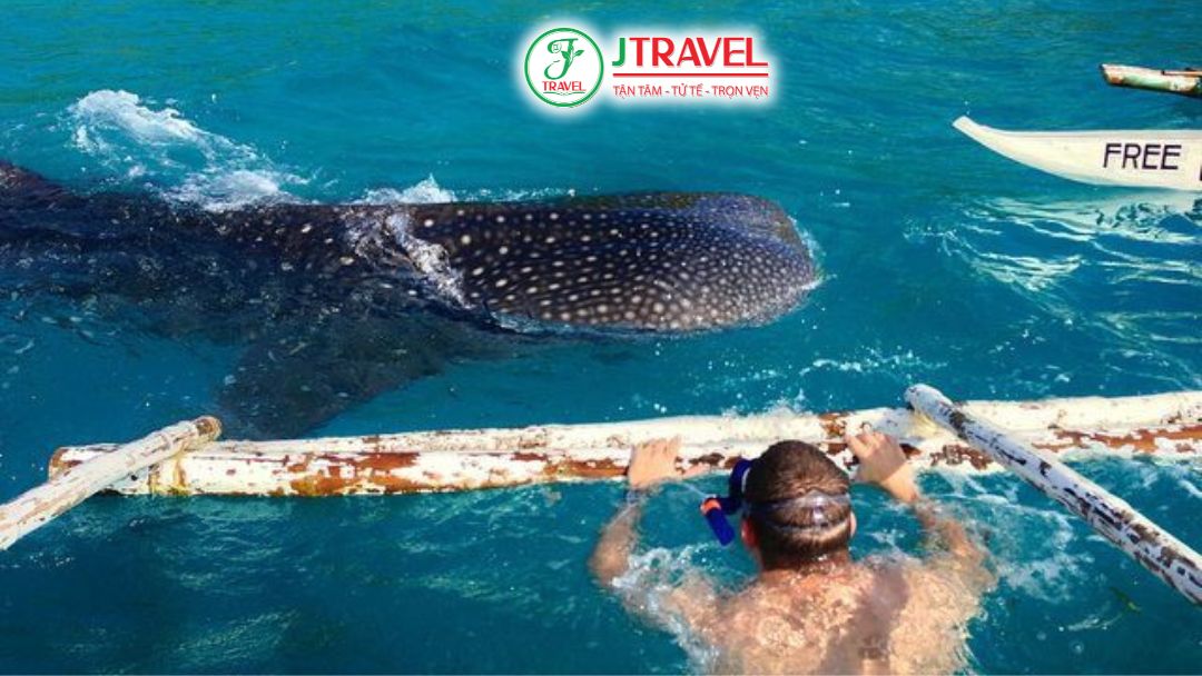 Giữ khoảng cách an toàn 3–4 mét