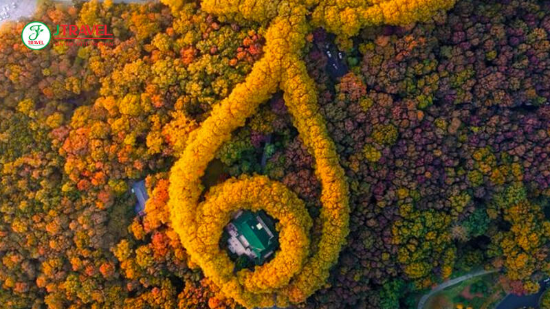 Núi Tử Kim Zijin Shan-JTRAVEL