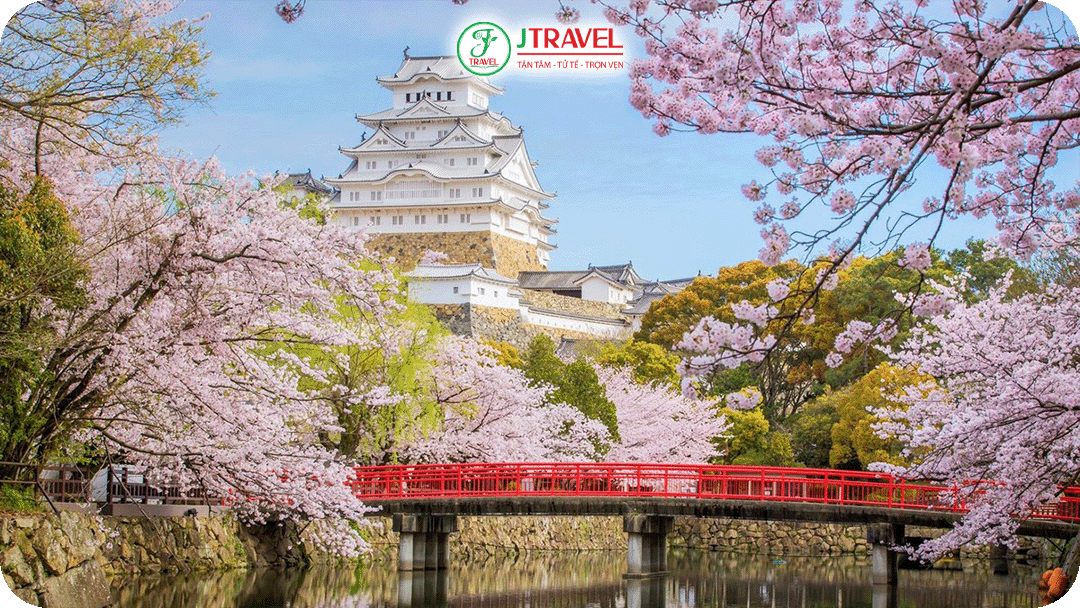 Lâu đài Osaka - biểu tượng của thành phố, nơi hơn 4.000 cây anh đào nở rộ