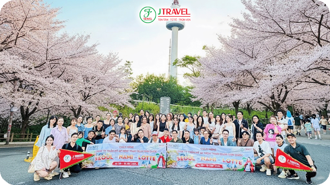 Du lịch Hàn Quốc mùa xuân cùng J Travel ngắm hoa anh đào