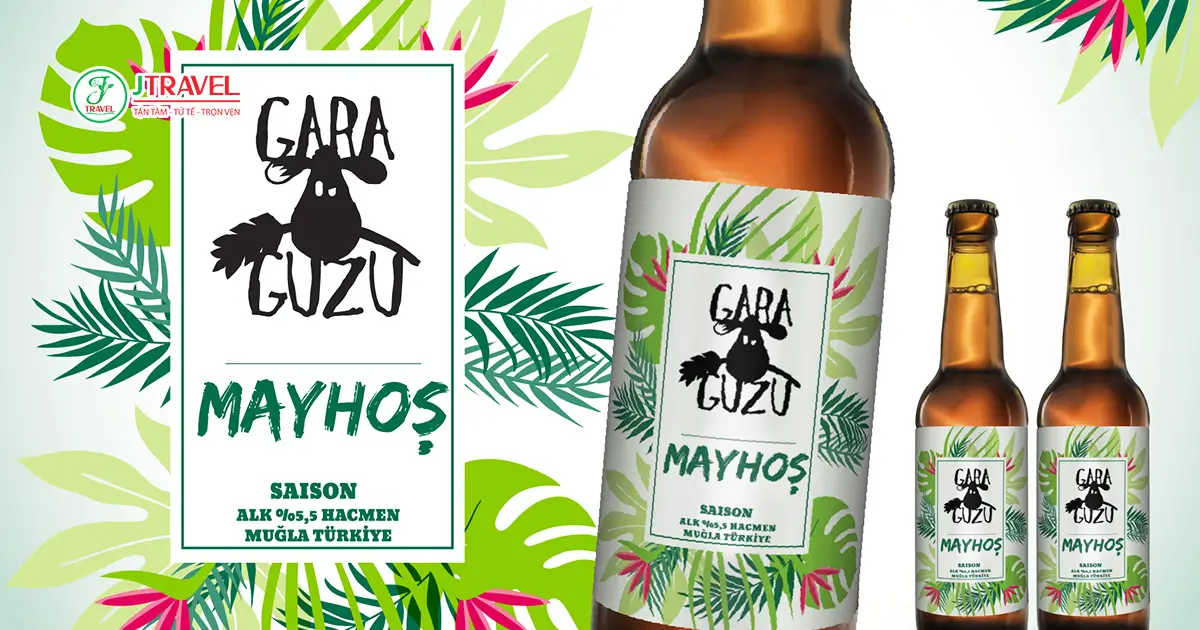 Nhiều khách sạn ở Thổ Nhĩ Kỳ (đặc biệt khách sạn 4-5 sao) có bar hoặc nhà hàng riêng phục vụ bia