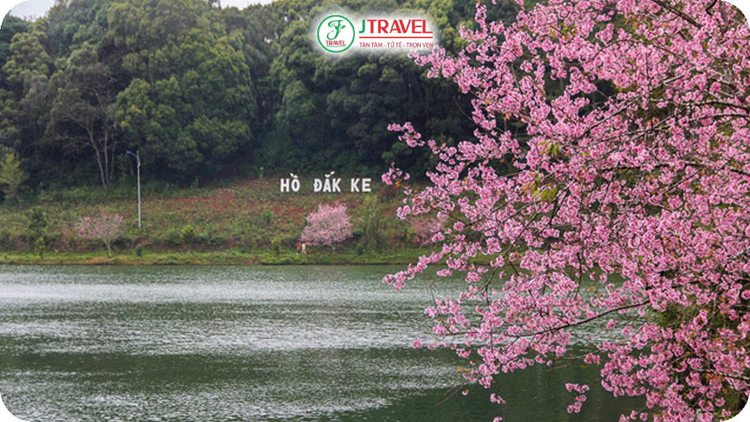 Hồ Đắk Ke phẳng lặng soi bóng thông già