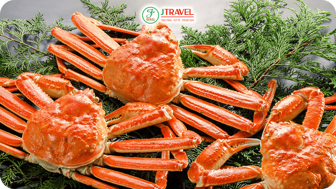 Hokkaido Snow Crab – Cua tuyết Hokkaido