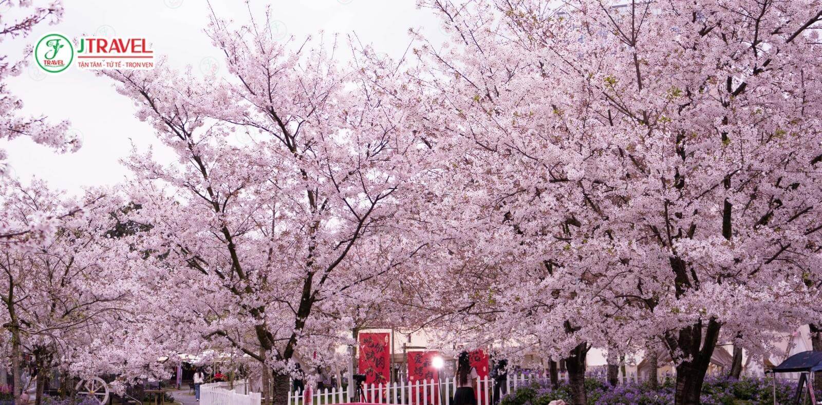 Vẻ đẹp bốn mùa tại Mạn Hoa Thành Đô