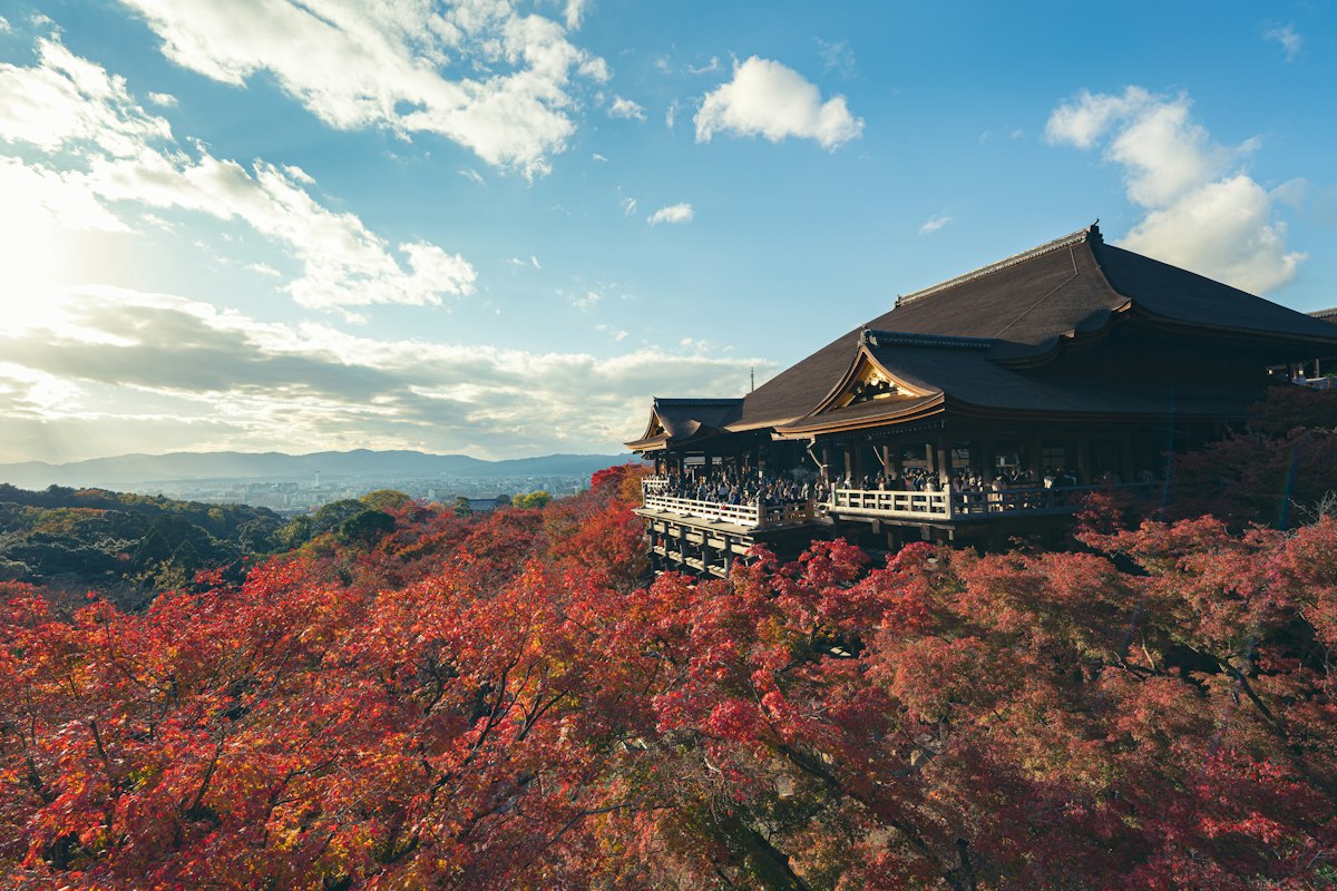 Chùa Kiyomizu-dera trên sườn núi giữa rừng cây