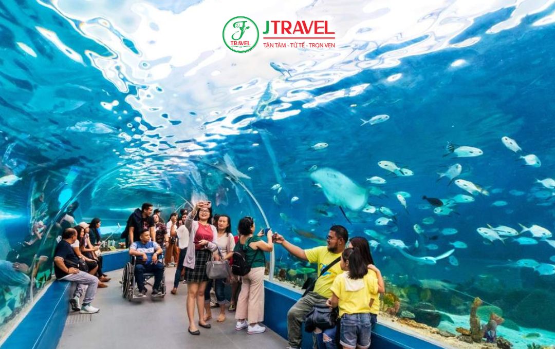 Tham quan Cebu Ocean Park