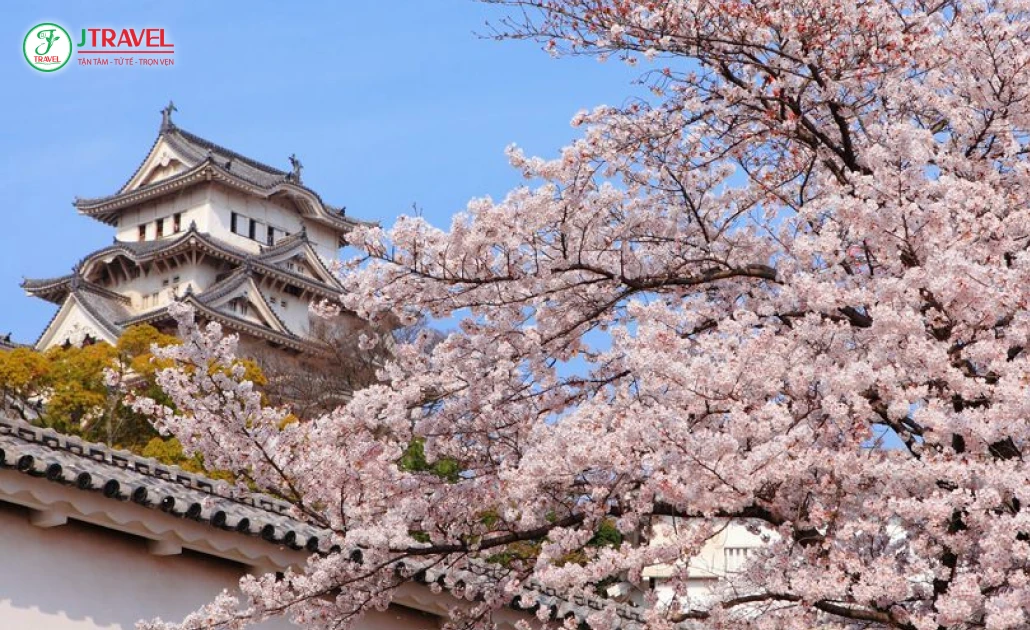 Lâu đài Matsumoto với kiến trúc thời Sengoku