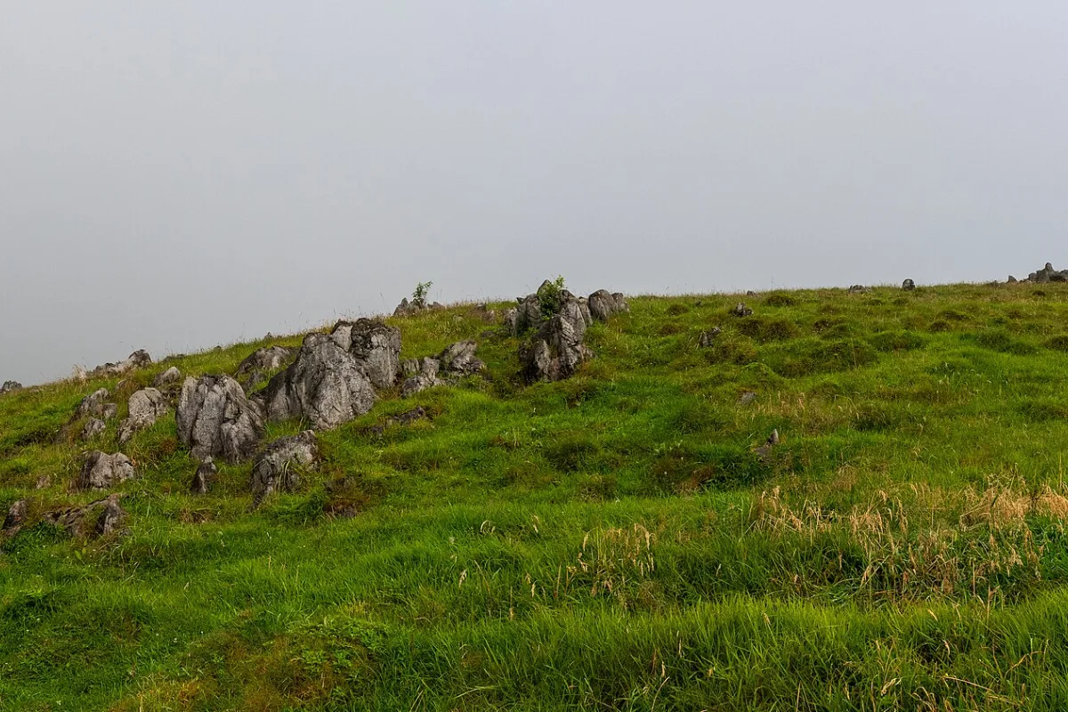 Cao nguyên đá vôi Shikoku Karst