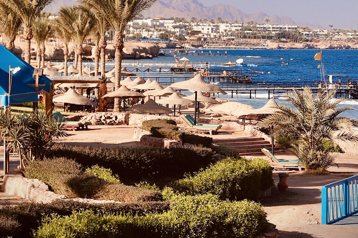 Bờ biển Hurghada với hàng cọ xanh
