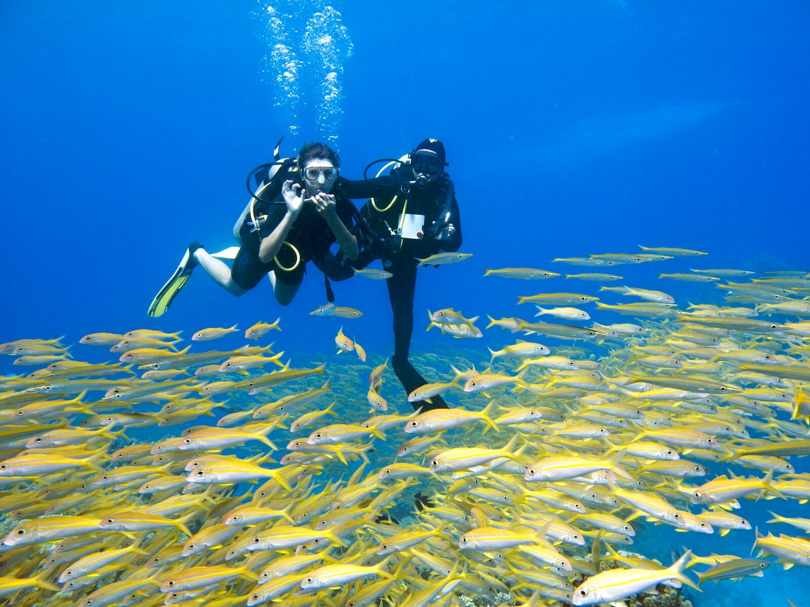 lặn dưới nước có sử dụng thiết bị thở ở hurghada