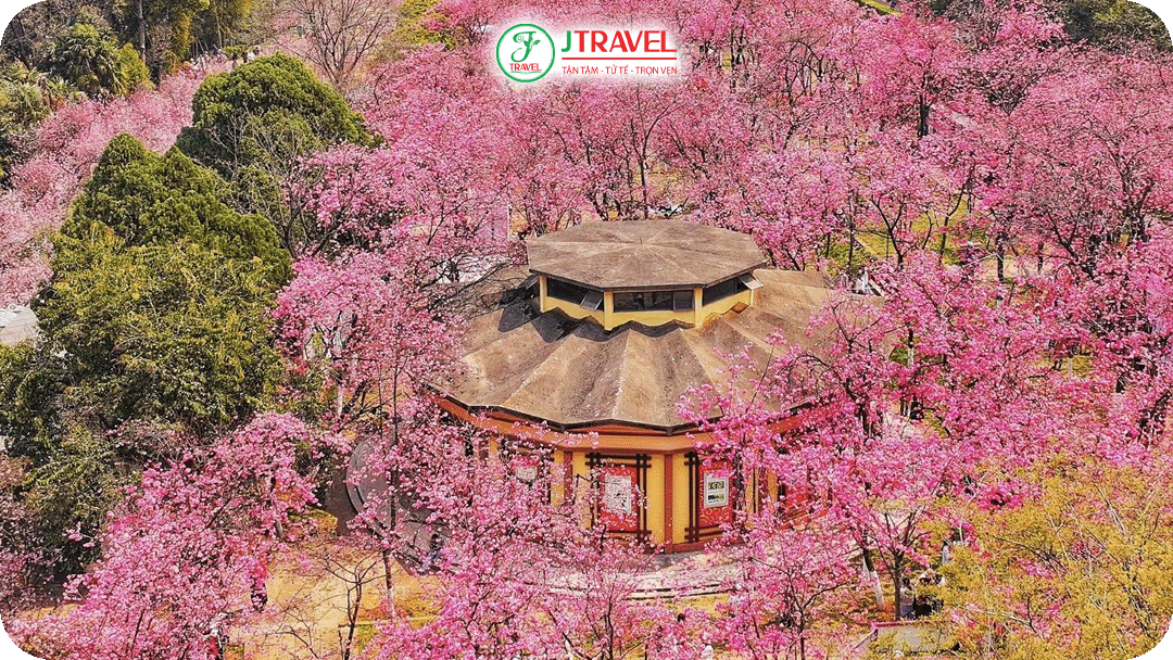 Côn Minh được mệnh danh là “thành phố mùa xuân” vì khí hậu quanh năm mát mẻ, dễ chịu