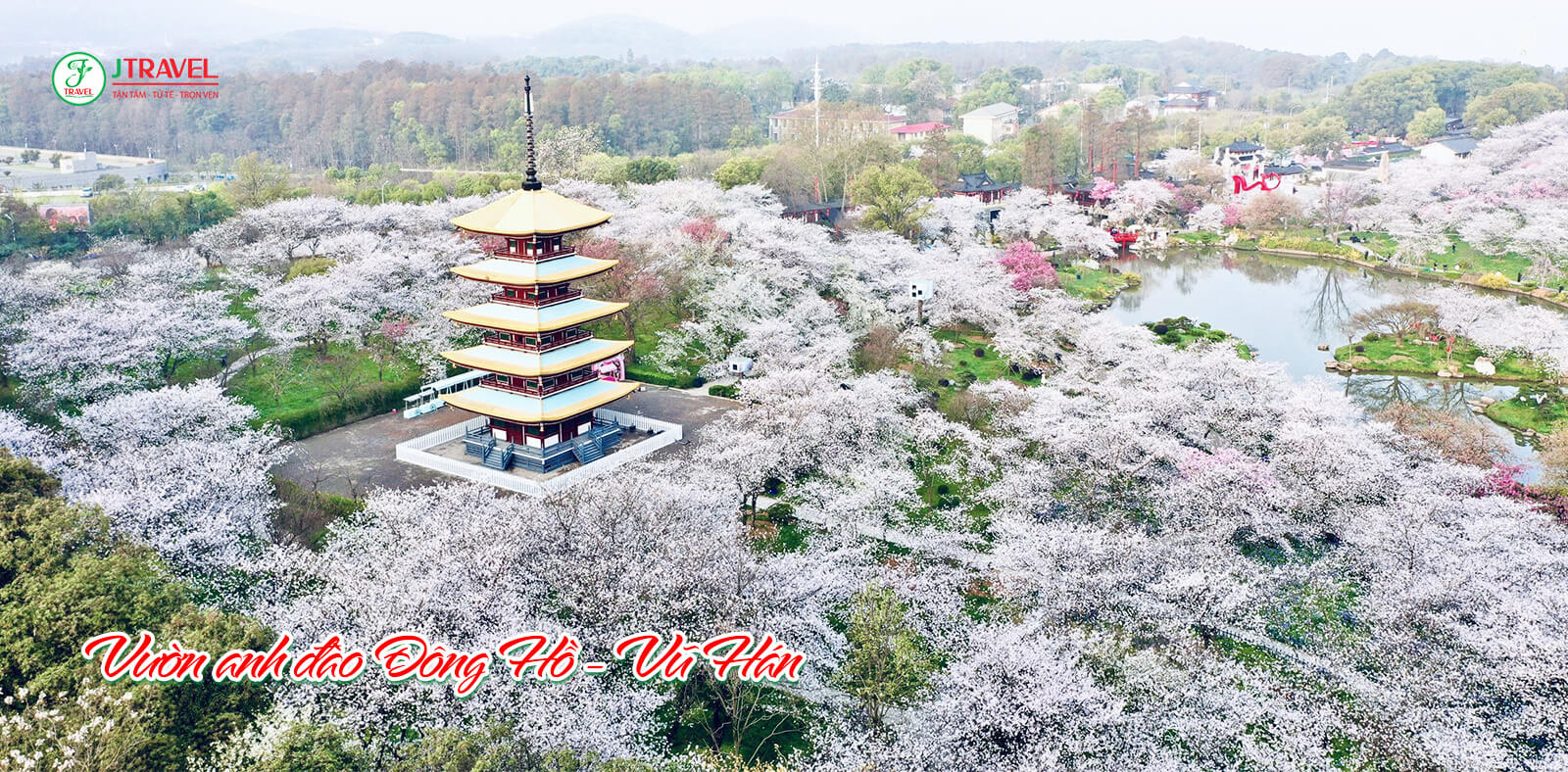 Vườn anh đào Đông Hồ, Vũ Hán