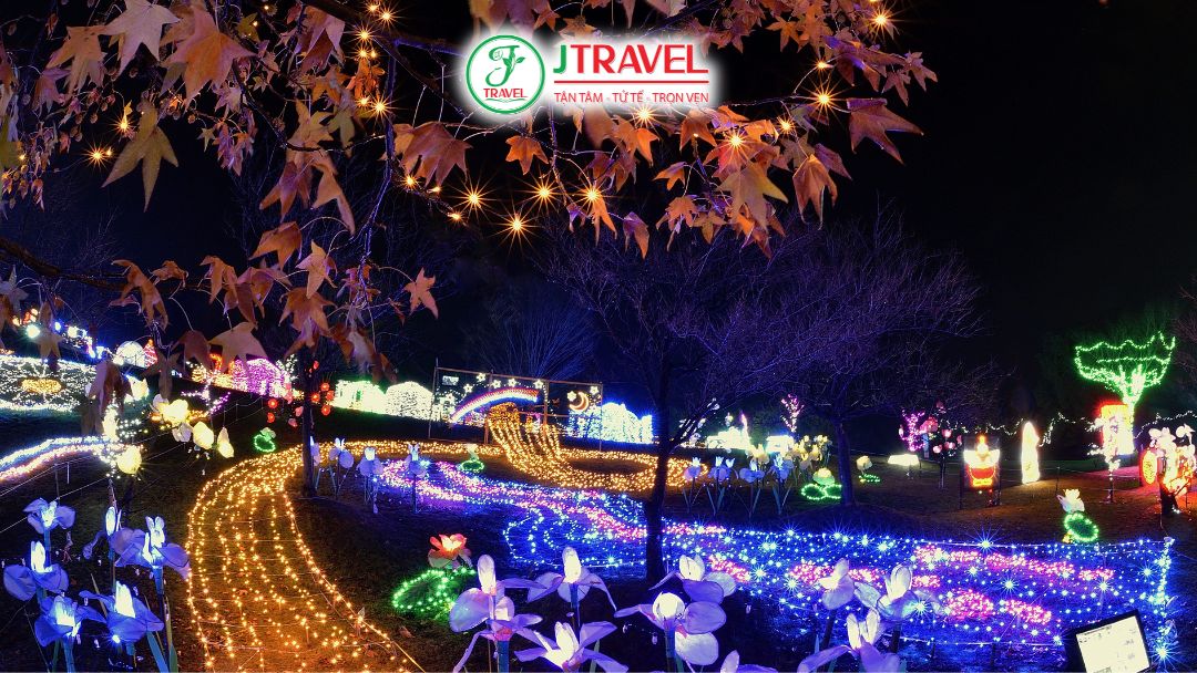 Illumination – thắp sáng mùa thu vào ban đêm