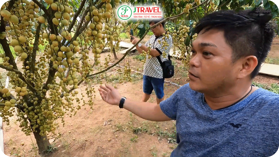 Vườn dâu bác 5 Cảnh ăn thoải mái chỉ 30 nghìn