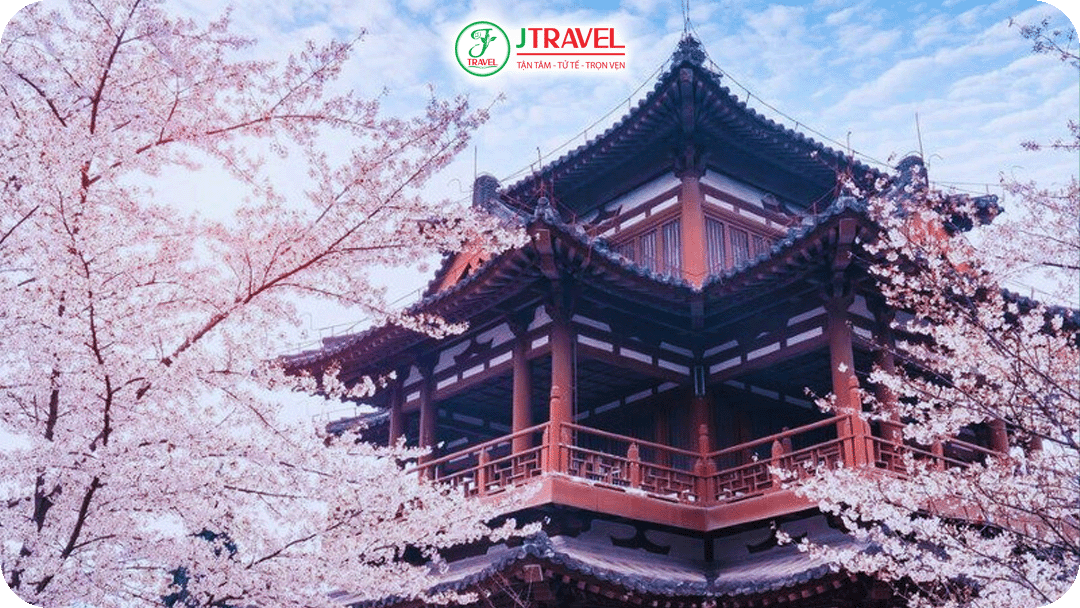 Thời tiết Bắc Kinh ấm sớm, hoa nở đều và kéo dài hơn vào mùa xuân