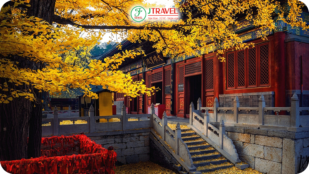 Bắc Kinh mùa thu là thời điểm thành phố trở nên dịu dàng và rực rỡ nhất trong năm