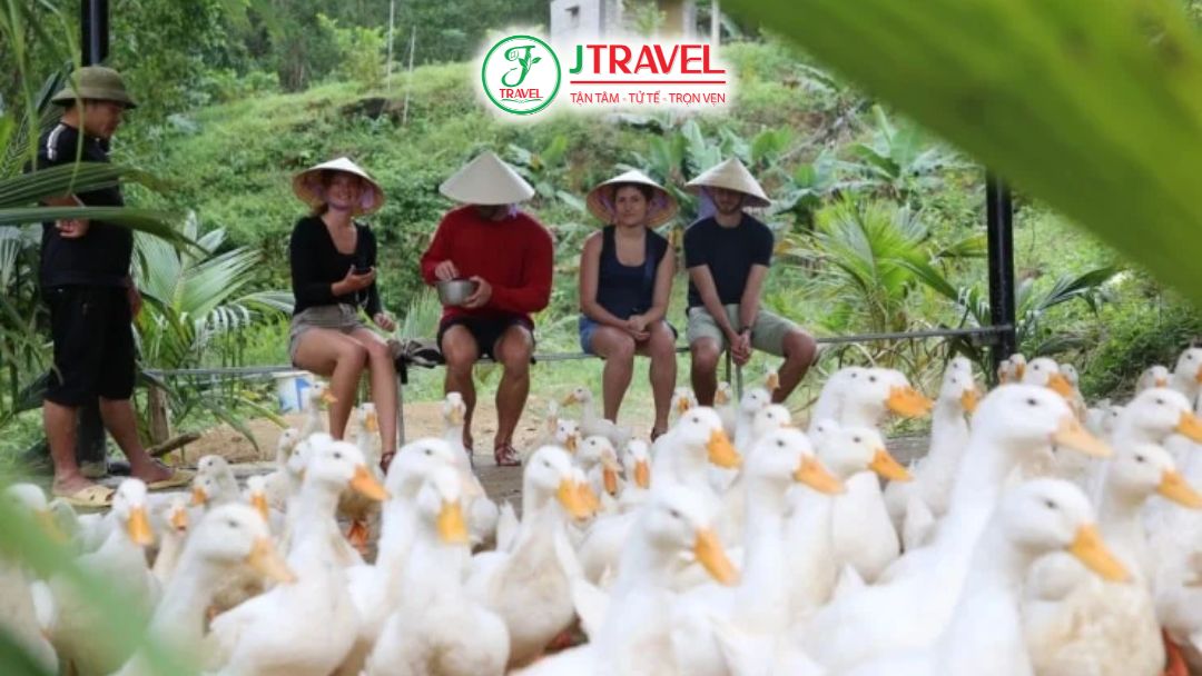 Trải nghiệm “massage vịt” độc đáo