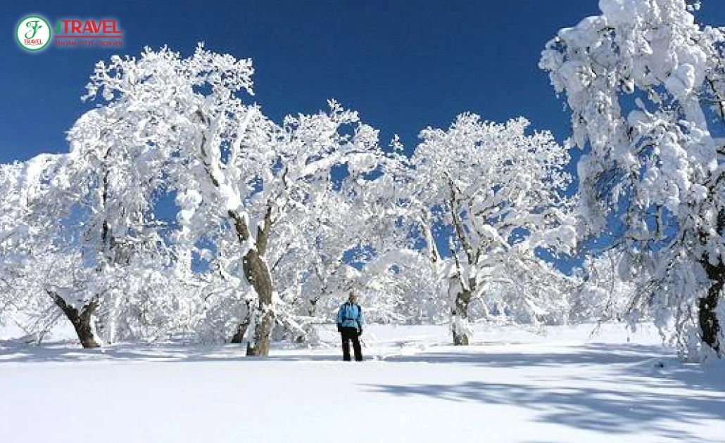 Khu trượt tuyết Furano lý tưởng cho gia đình và người mới