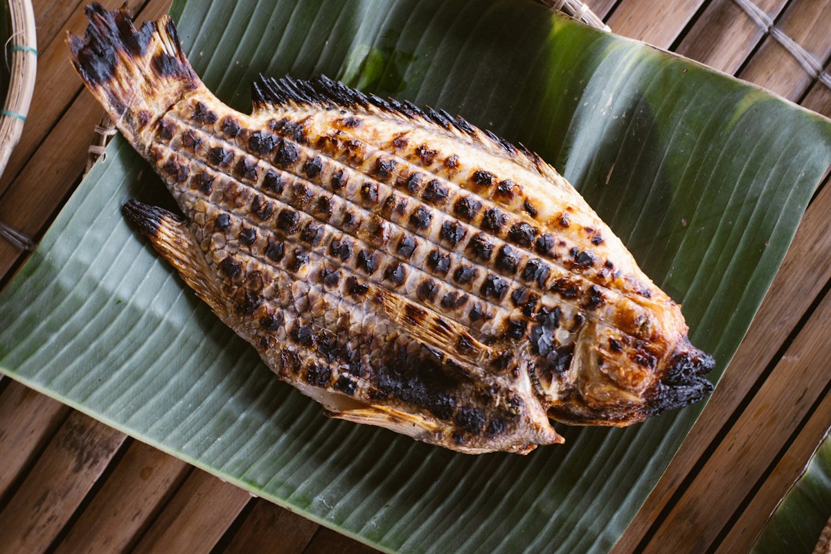 Cá suối nướng đặt trên lá chuối, món ăn vùng cao hấp dẫn