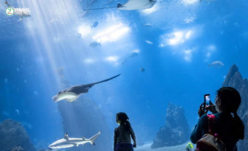 Oceanário de Lisboa (Thủy cung Lisbon)