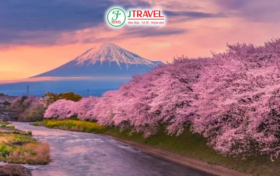 Tour mùa hoa anh đào có gì nổi bật