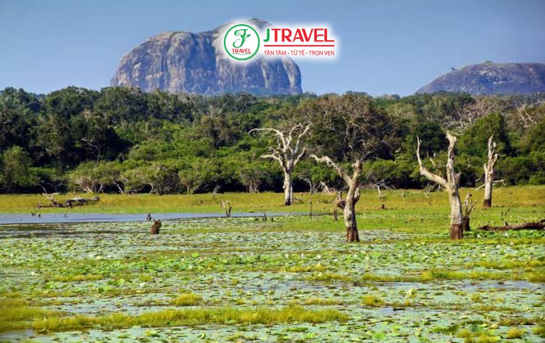 Yala National Park