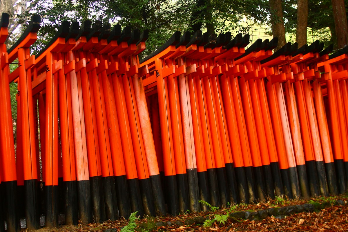 Những hàng cổng torii màu cam rực rỡ tại một ngôi đền ở Kyoto